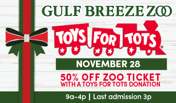 GBZ_2025_Toys4Tots_SSRN_DigitalAd