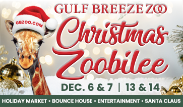 GBZ_2025_Zoobilee_SSRN_Digital_363x213