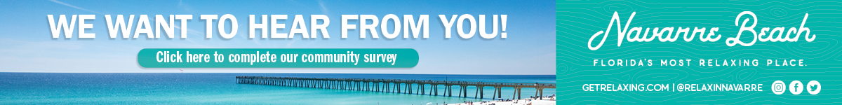 TDC banner survey online