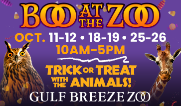 ZOo First Boo ad