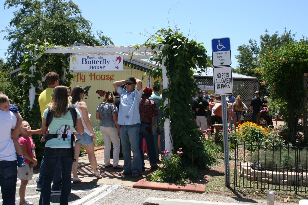 More than 1,400 sign petition to keep Butterfly House in Navarre Park
